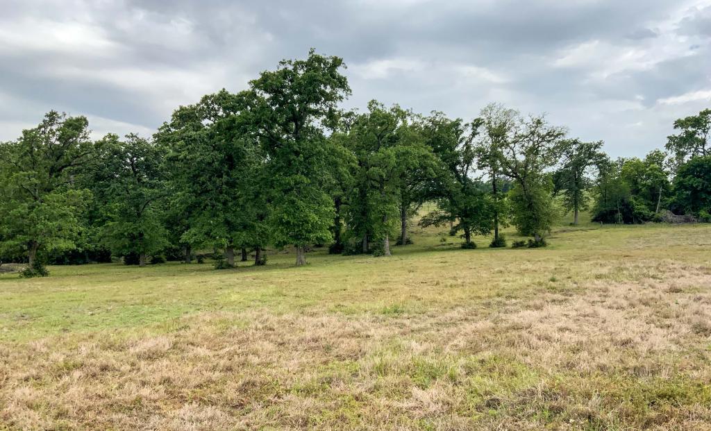 Oak Hills Ranch Chas S. Middleton